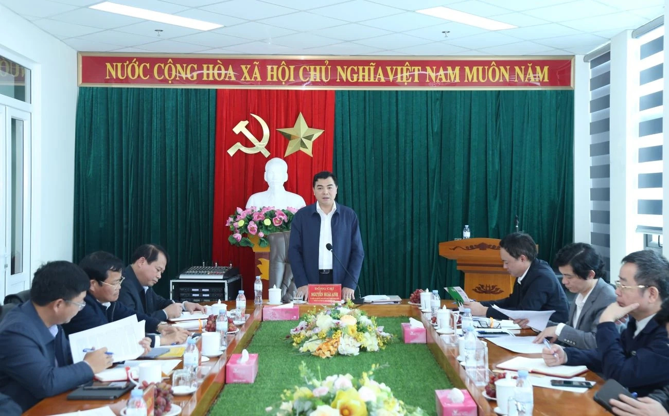 Chủ tịch UBND tỉnh Nguyễn Hoài Anh phát biểu tại buổi làm việc.